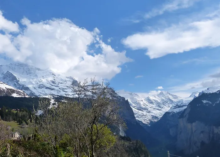 아파트 Canadian Corner